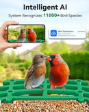 DOROEO SMART BIRD FEEDER 2.5K HD AUTO CAPTURE BIRD VIDEOS TV-XM-Q40-4MP - GREEN - Like New