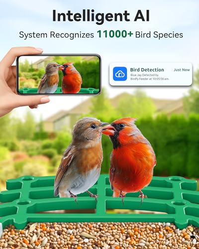 DOROEO SMART BIRD FEEDER 2.5K HD AUTO CAPTURE BIRD VIDEOS TV-XM-Q40-4MP - GREEN - Like New