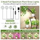 FIRSTNESS PLANT STAND 9 TIER 63" SHELF FOR MULTIPLE PLANTS Y-FIR-C-2020 - BLACK - Like New