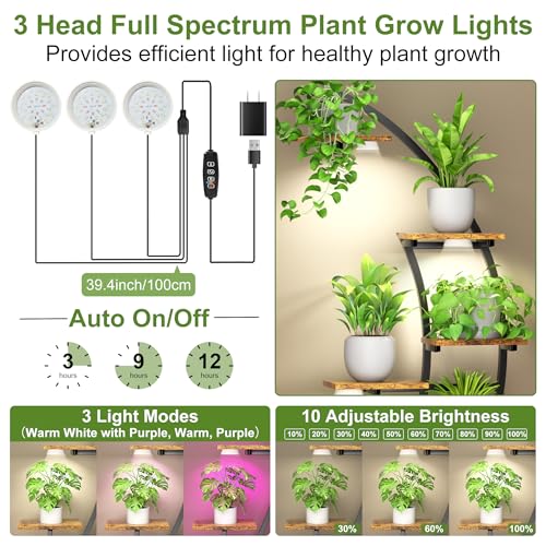 FIRSTNESS PLANT STAND 9 TIER 63" SHELF FOR MULTIPLE PLANTS Y-FIR-C-2020 - BLACK - Like New