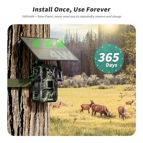 SEHMUA RBX-H20 4G Trail Camera - Green Camo - Scratch & Dent