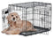 PRECISION PET TWO DOOR PROVALUE WIRE DOG CRATE 24 INCH 15-30 LBS - BLACK Like New