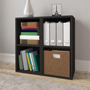 Way Basics Book Shelf 2 Tier Vinyl Record Storage Tool-free Assembly - Black - Like New
