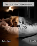 BLURAMS PET CAMERA 2K 360° DOG CAMERA WITH PHONE APP PTZ INDOOR A31 - WHITE - Brand New