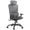 NOBLEWELL ERGONOMIC HIGH BACK MESH CHAIR компьютерным офисом NWOC6 - BLACK/GRAY - Like New