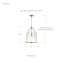 HomePlace Lighting 347011AD Madison Transitional Seeded Glass Light Fixture - Brand New