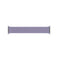 APPLE WATCH 41MM BRAIDED SOLO LOOP SIZE 2 - ENGLISH LAVENDER - Brand New