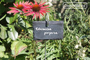 GardenMate 10-Pack Nature Style Slate Plant Labels 4"x2 3/4" 22" Stainless Steel - Brand New