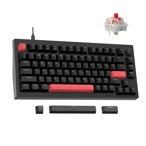 LEMOKEY X4 QMK WIRED MECHANICAL KEYBOARD RED BACKLIGHT KEYCHRON RED SWITCH BLACK - Like New