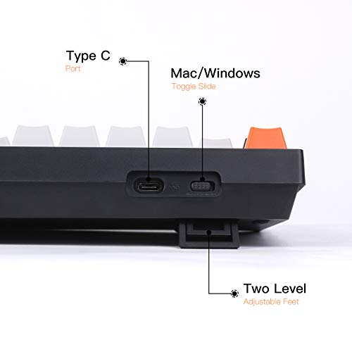 Keychron C2 Full Size Wired Mechanical Keyboard Mac Hot-swappable Gateron G Pro - Like New