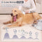ITBABY 2.5L DOG CAT GROOMING KIT PROFESSIONAL CLIPPERS 8 TOOLS VACUUM - WHITE - Like New