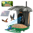 LOLlyes AI Smart Bird Feeder Camera 64G Card 1080P HD Identify Species - Camo - Like New