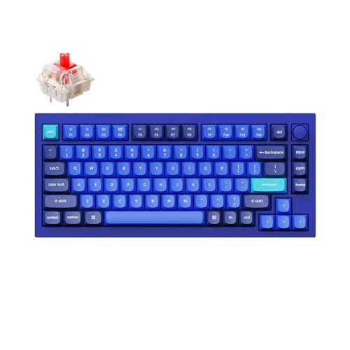 Keychron Q1 RGB Wired Custom Mechanical Keyboard 75% QMK/VIA Q1-O1 (Blue)V2 Like New