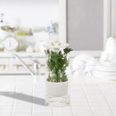 HONEY-CAN-DO GLASS HERB PRESERVER MEDIUM CLEAR/WHITE KCH-06398 - Like New