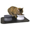 Kitty City Raised Cat Bowl Collection/Stress Free Pet Feeder/Waterer - Gray - Brand New