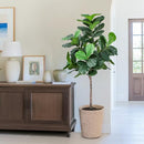 Yepdin Faux Fiddle Leaf Fig Tree 6 FT - Artificial Ficus Tree - B0B827QBC8 - Brand New