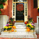 Winlyn Fall Berry Wreath 20" Harvest Door Autumn, Halloween, Thanksgiving Decor - Brand New