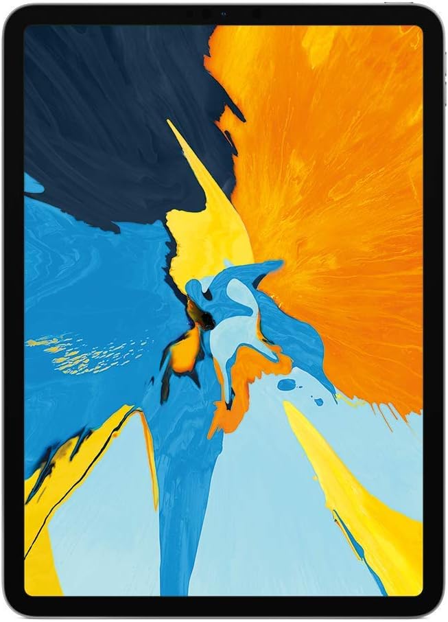 Apple iPad Pro (11-inch, Wi-Fi, 1TB) - Space Gray (1st Generation) - Like New