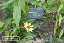 GardenMate 10-Pack Nature Style Slate Plant Labels 4"x2 3/4" 22" Stainless Steel - Brand New