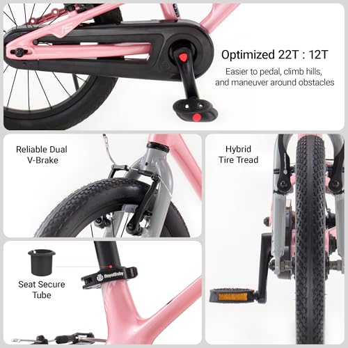 RoyalBaby Astro Magnesium EZ-Shark Ultra-Light Kids Bike Lightweight - Like New