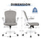 Winrise Office Chair Desk Chair Ergonomic Mesh Computer Chair WR935 - Gray - Like New