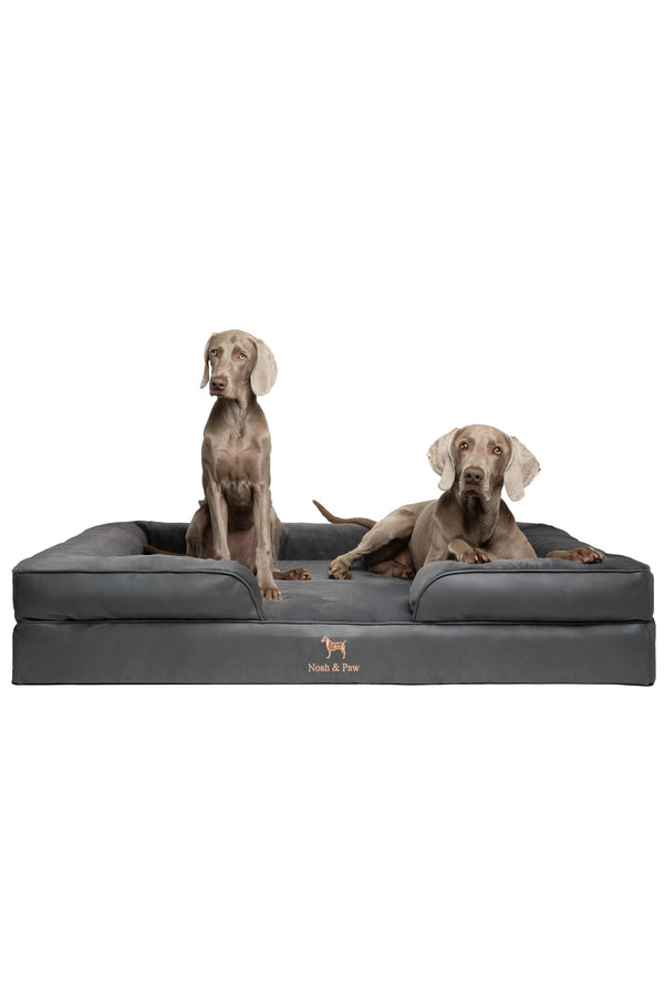 NOAH & PAW GIANT DOG BEDDING SUPPLIES SO-LE-BLK-2XL.BLACK CURLED SOFA - BLACK - Like New