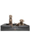 NOAH & PAW GIANT DOG BEDDING SUPPLIES SO-LE-BLK-2XL.BLACK CURLED SOFA - BLACK - Like New