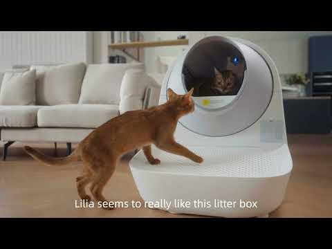 CATLINK PRO-X LUXURY VERSION INTELLIGENT SELF-CLEANING CAT LITTERBOX - WHITE - Like New