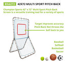 CHAMPION SPORTS PITCHBACK NET, BASEBALL & SOFTBALL, TRAINING SCREEN - SILVER - Like New