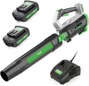 Aiper Smart Cordless Lightweight Leaf Blower 2x 1.5Ah Battery Kit - Black/Green - Like New