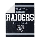 FOCO NFL Unisex-Adult NFL Team Logo Sherpa Fleece Plush Throw Blanket - Brand New