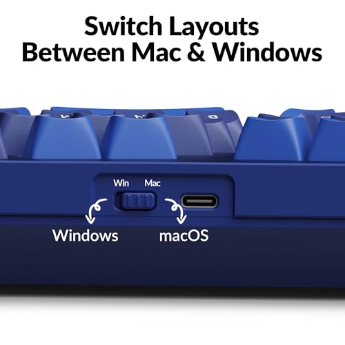 KEYCHRON Q10 WIRED CUSTOM MECHANICAL KEYBOARD KNOB 75% ALICE - NAVY BLUE - Like New