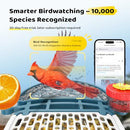 LOATOS BIRD FEEDER WITH CAMERA 5MP LIVE VIDEO SOLAR POWERED TV-D10 - BLUE - Like New