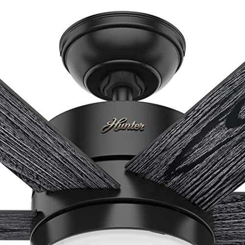 HUNTER FAN COMPANY 54 INCH INDOOR CEILING FAN WITH LIGHT 51017, MATTE BLACK - Like New