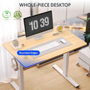 FLEXISPOT ELECTRIC STANDING DESK 48"X24" HEIGHT ADJUSTMENT (WHITE + MAPLE TOP) - Like New