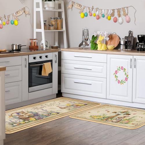 DRYDIET EASTER KITCHEN RUGS AND MATS SET - 17 x 30, 17 x 47 Inch - Like New