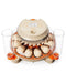 Innsky 12 Egg Incubator, Automatic Egg Turning and IS-EI001, White/Orange - Like New