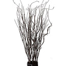 FEILIX 10PCS LIFELIKE CURLY WILLOW BRANCHES DECORATIVE FAKE BENDABLE STICKS - Brand New