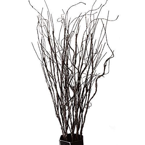 FEILIX 10PCS LIFELIKE CURLY WILLOW BRANCHES DECORATIVE DRIED TWIGS - BROWN - Like New