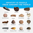 NATIONAL GEOGRAPHIC SUPER FOSSIL DIG KIT - MULTI - Brand New