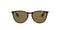 RJ9060 Ray Ban Girls' Erika Round Rubber Havana Dark Brown - Scratch & Dent
