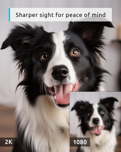 BLURAMS PET CAMERA 2K 360° DOG CAMERA WITH PHONE APP PTZ INDOOR A31 - WHITE - Brand New