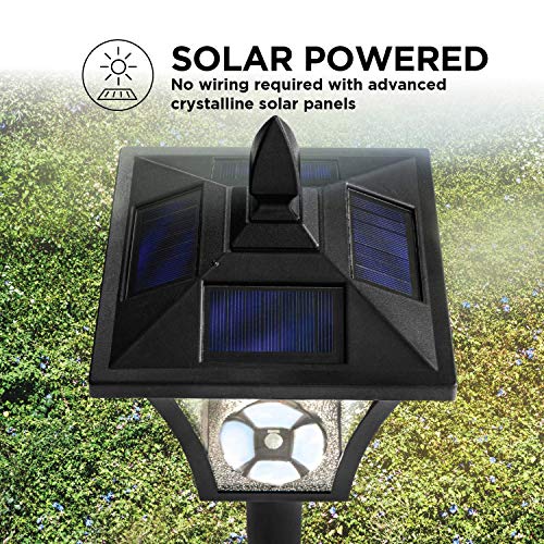 Home Zone Solar Light Pole Lamp 65" Decorative Outdoor Solar Lamp ELI0993V Black Like New