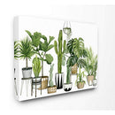 Boho Plant Scene with Cacti and Succulents in Canvas Art - Brand New