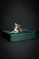 NOAH & PAW DOG BED 28X23X11 IN ORTHOPEDIC BEDS EGGSHELL FOAM INFUSED - GREEN - Like New