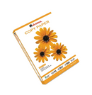 UNIVERSAL 28110 COPY PAPER- 92 BRIGHTNESS 20LB- 11 X 17- WHITE 500 SHEETS/CARTON - Brand New