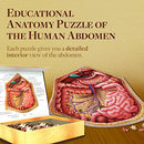 Genius Games Human Abdomen Anatomy Jigsaw Puzzle Dr Livingston's Unique Shaped - Brand New
