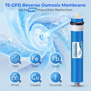 iSpring Greatwell NSF Certified Reverse Osmosis Membrane B007TBB69W - White - Brand New