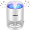 DUNAGA Automatic Fruit Fly Trap Indoor - Auto White Like New