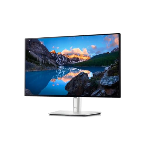 DELL ULTRASHARP 24 INCH IPS FHD MONITOR U2424H - SILVER/BLACK - Like New